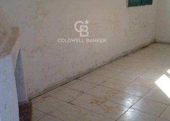 Foto 8 - Agricultural land Contrada Bosco Colombo, Mesagne - photo 8