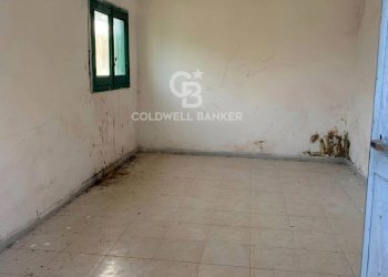 Foto 9 - Agricultural land Contrada Bosco Colombo, Mesagne - photo 9