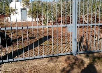 Foto 10 - Agricultural land Contrada Bosco Colombo, Mesagne - photo 10