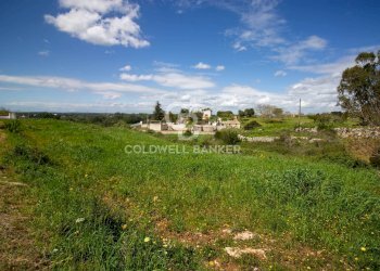 Foto 5 - Terreno edificabile Località Madonna del Rosario
snc, Martina Franca - foto 5