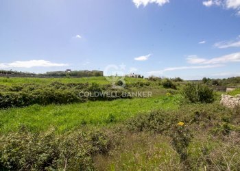 Foto 9 - Terreno edificabile Località Madonna del Rosario
snc, Martina Franca - foto 9