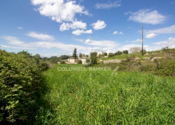 Foto 10 - Terreno edificabile Località Madonna del Rosario
snc, Martina Franca - foto 10