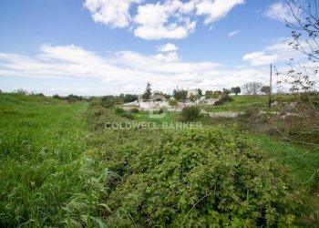 Foto 12 - Terreno edificabile Località Madonna del Rosario
snc, Martina Franca - foto 12