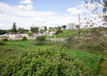 Foto 13 - Terreno edificabile Località Madonna del Rosario
snc, Martina Franca - foto 13