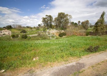 Foto 19 - Terreno edificabile Località Madonna del Rosario
snc, Martina Franca - foto 19