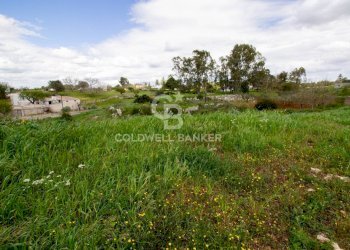 Foto 21 - Terreno edificabile Località Madonna del Rosario
snc, Martina Franca - foto 21
