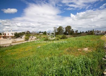 Foto 27 - Terreno edificabile Località Madonna del Rosario
snc, Martina Franca - foto 27