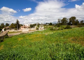 Foto 28 - Terreno edificabile Località Madonna del Rosario
snc, Martina Franca - foto 28