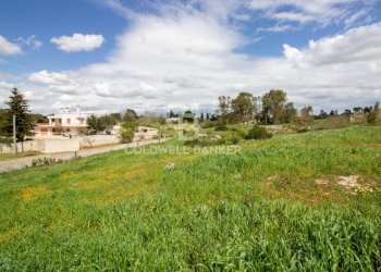 Foto 30 - Terreno edificabile Località Madonna del Rosario
snc, Martina Franca - foto 30