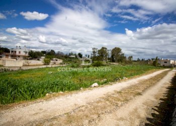 Foto 31 - Terreno edificabile Località Madonna del Rosario
snc, Martina Franca - foto 31