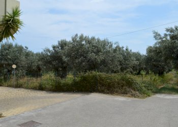 Foto 1 - Terreno agricolo VIA DEL PORTO, Vasto - foto 1