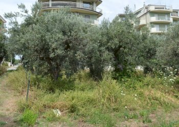 Foto 3 - Terreno agricolo VIA DEL PORTO, Vasto - foto 3