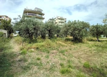 Foto 5 - Terreno agricolo VIA DEL PORTO, Vasto - foto 5