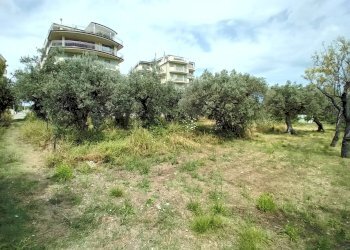 Foto 6 - Terreno agricolo VIA DEL PORTO, Vasto - foto 6