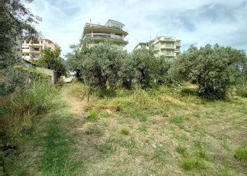 Foto 7 - Terreno agricolo VIA DEL PORTO, Vasto - foto 7