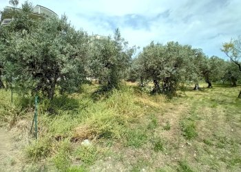 Foto 8 - Terreno agricolo VIA DEL PORTO, Vasto - foto 8