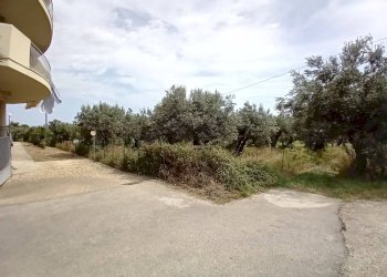 Foto 9 - Terreno agricolo VIA DEL PORTO, Vasto - foto 9