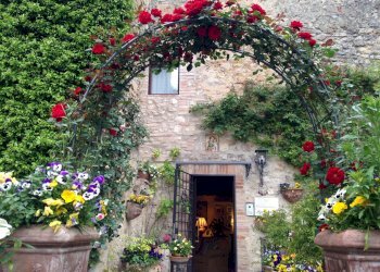 Foto 3 - Hotel vocabolo castello
 
28, Todi - foto 3