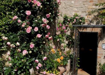 Foto 9 - Hotel vocabolo castello
 
28, Todi - foto 9