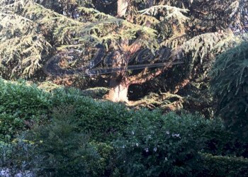 Foto 81 - Villa via dei platani
 
8, Carimate - foto 81