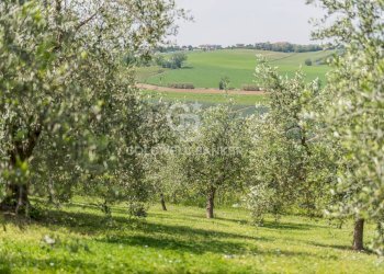 Foto 9 - Villa via giardino
 
26, San Clemente - foto 9