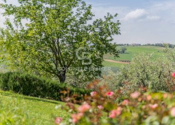 Foto 41 - Villa via giardino
 
26, San Clemente - foto 41