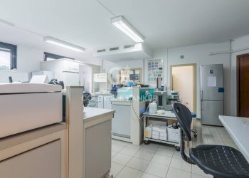 Foto 14 - Laboratorio Via Ottorino Respighi
 
54, Pesaro - foto 14