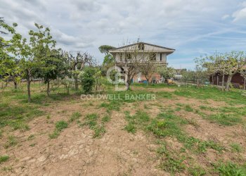 Foto 16 - Villa Viale Venezia
 
53, Riccione - foto 16