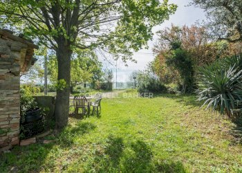 Foto 30 - Rustico Via Meleto
 
1266-30, Saludecio - foto 30