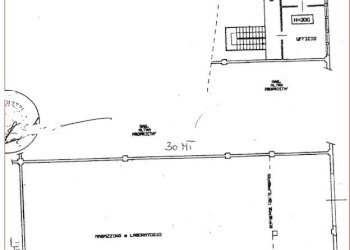 Foto 10 - Capannone Via Annibale Zucchini, Ferrara - foto 10