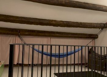 Foto 25 - Casa indipendente Ferrara - foto 25