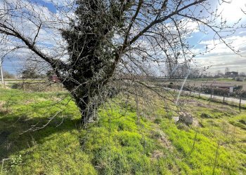 Foto 14 - Casa indipendente Via Massafiscaglia, Ferrara - foto 14