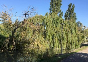 Foto 6 - Casa indipendente via dell' ansa, Ferrara - foto 6