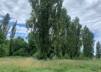 Foto 8 - Casa indipendente via dell' ansa, Ferrara - foto 8