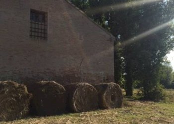 Foto 13 - Casa indipendente via dell' ansa, Ferrara - foto 13