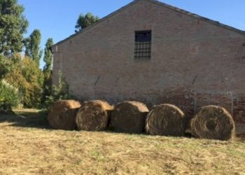 Foto 15 - Casa indipendente via dell' ansa, Ferrara - foto 15