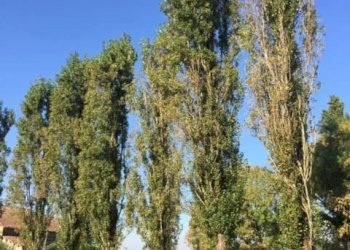 Foto 18 - Casa indipendente via dell' ansa, Ferrara - foto 18