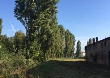 Foto 36 - Casa indipendente via dell' ansa, Ferrara - foto 36