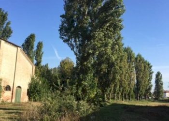 Foto 37 - Casa indipendente via dell' ansa, Ferrara - foto 37