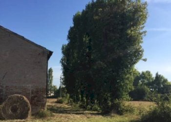 Foto 39 - Casa indipendente via dell' ansa, Ferrara - foto 39