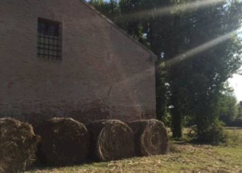 Foto 41 - Casa indipendente via dell' ansa, Ferrara - foto 41