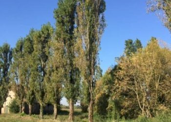 Foto 47 - Casa indipendente via dell' ansa, Ferrara - foto 47