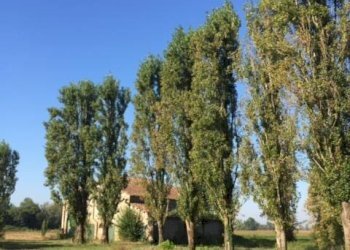 Foto 58 - Casa indipendente via dell' ansa, Ferrara - foto 58