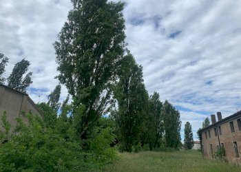 Foto 69 - Casa indipendente via dell' ansa, Ferrara - foto 69