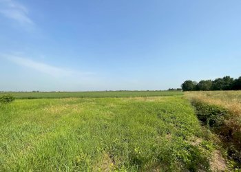 Foto 16 - Casa indipendente cattaneo, Voghiera - foto 16