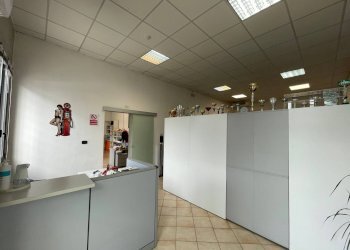 Foto 15 - Office Via Giuseppe Bongiovanni, Ferrara - photo 15