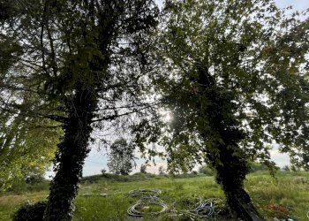 Foto 10 - Independent house via viazza, Riva del Po - photo 8