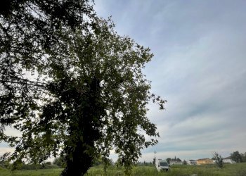 Foto 11 - Independent house via viazza, Riva del Po - photo 9