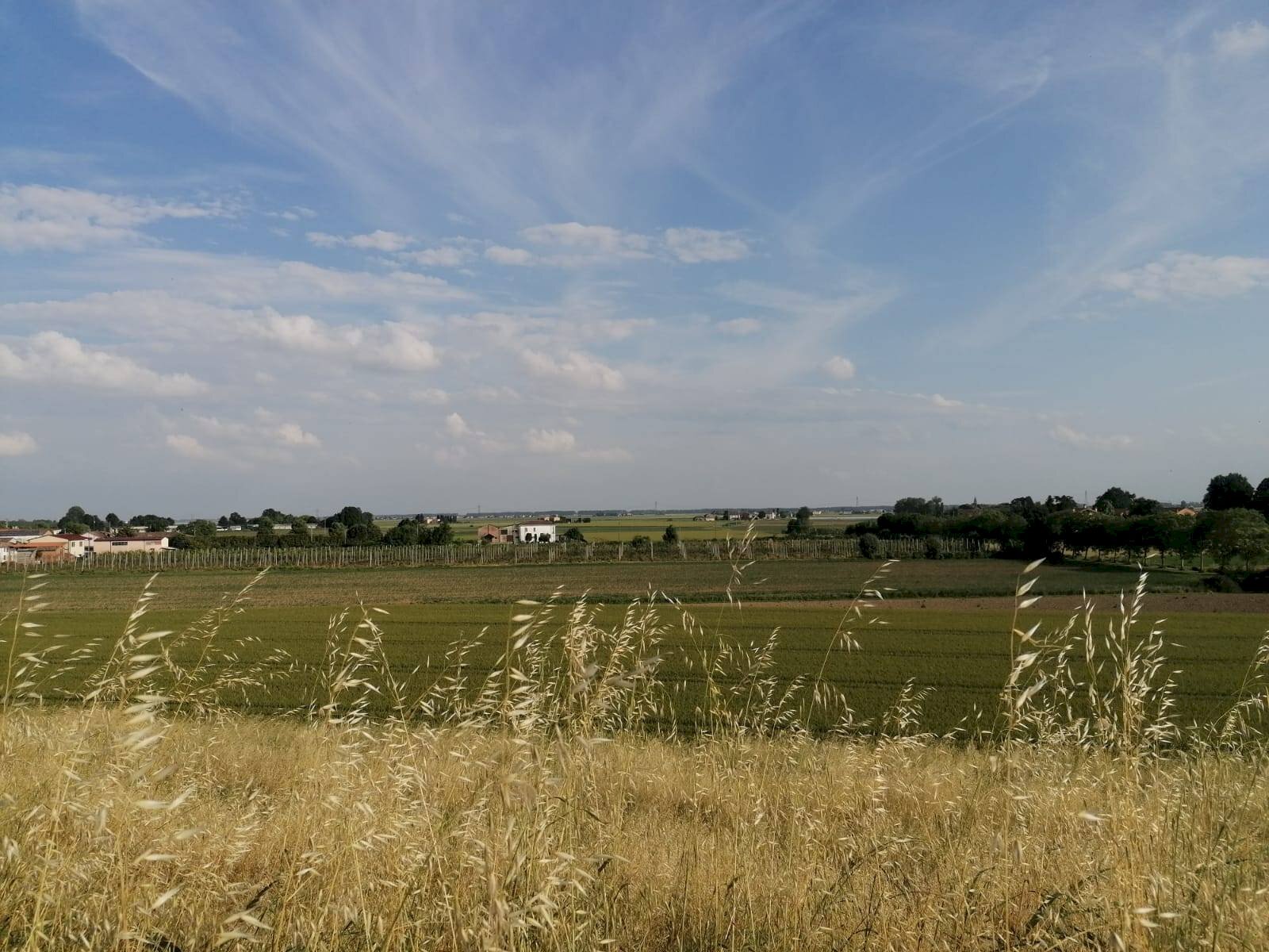 Foto 3 - Terreno agricolo Salvatonica, Bondeno - foto 3