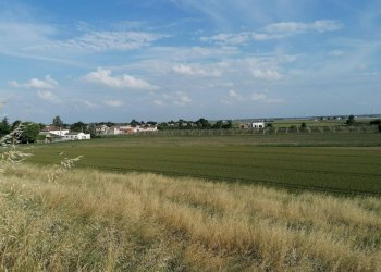 Foto 1 - Terreno agricolo Salvatonica, Bondeno - foto 1